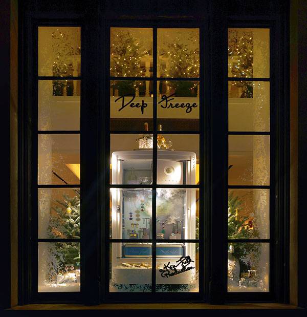 David Webb Deep Freeze window concept