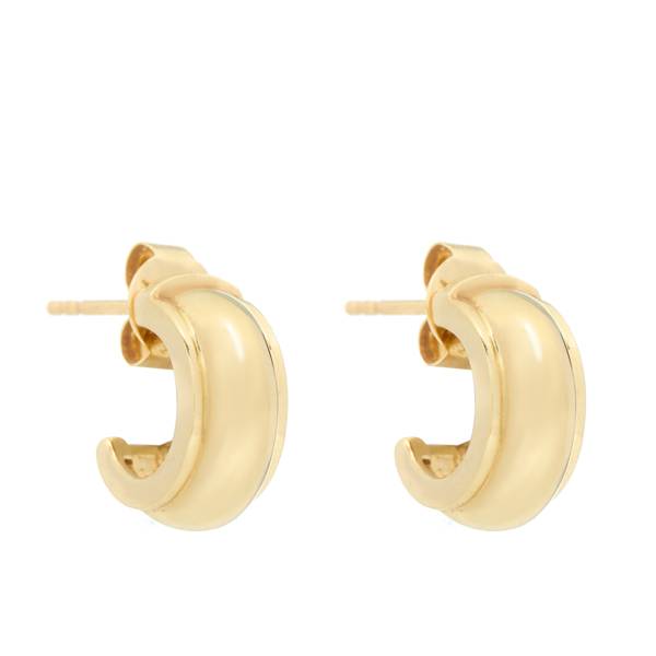 Wyld Box Luna earrings