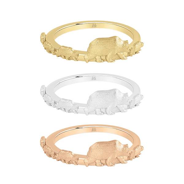 399 Rings Jackson Hole