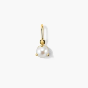 Birthstone Charm  4.6  $88 Material   10k Yellow Gold