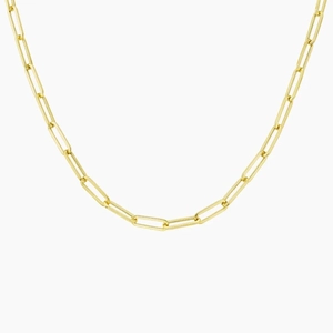 Devon 18 in. Paperclip Chain Necklace (Small)