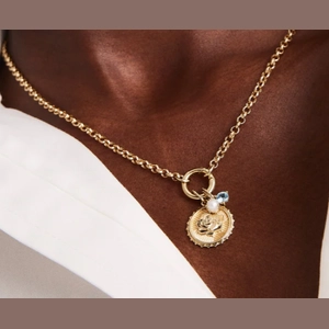 Birthstone Charm  4.6  $88 Material   10k Yellow Gold